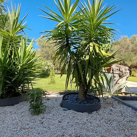 Tres Belle Piscine Jacuzzi Grande Propriete 10 Pers *