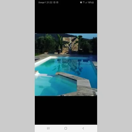 Villa Très Belle Piscine Jacuzzi Grande Propriété 10 Pers Belgodère