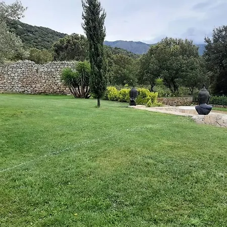 Tres Belle Piscine Jacuzzi Grande Propriete 10 Pers Belgodere (Corsica)