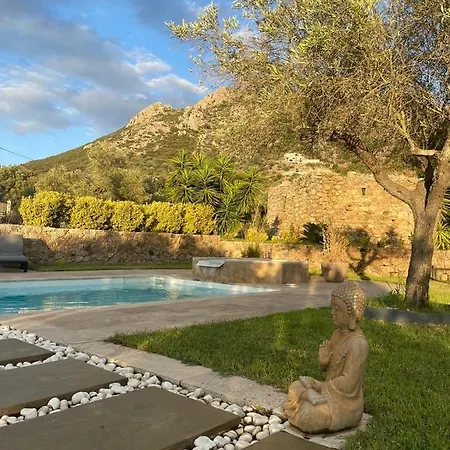 Tres Belle Piscine Jacuzzi Grande Propriete 10 Pers Belgodere (Corsica)