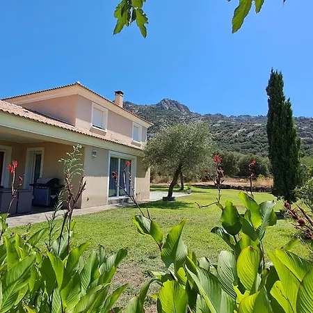 Très Belle Piscine Jacuzzi Grande Propriété