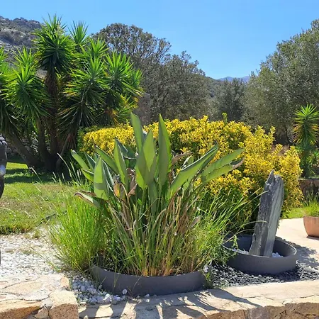 Tres Belle Piscine Jacuzzi Grande Propriete 10 Pers Belgodere (Corsica)