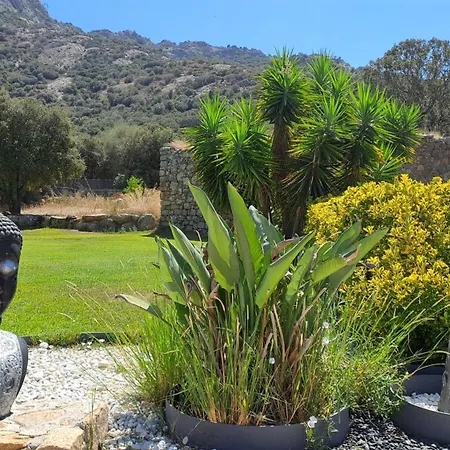 Très Belle Piscine Jacuzzi Grande Propriété 10 Pers *