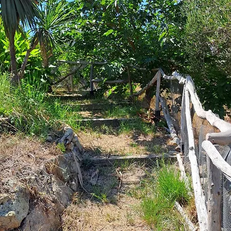 Très Belle Piscine Jacuzzi Grande Propriété 10 Pers Villa *