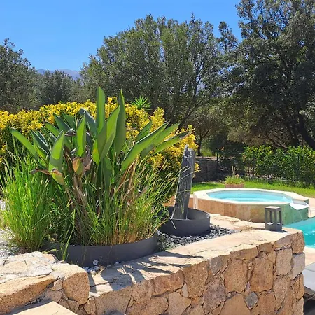Tres Belle Piscine Jacuzzi Grande Propriete 10 Pers Villa Belgodere (Corsica)