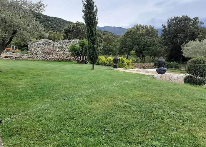 Tres Belle Piscine Jacuzzi Grande Propriete 10 Pers Belgodere (Corsica)