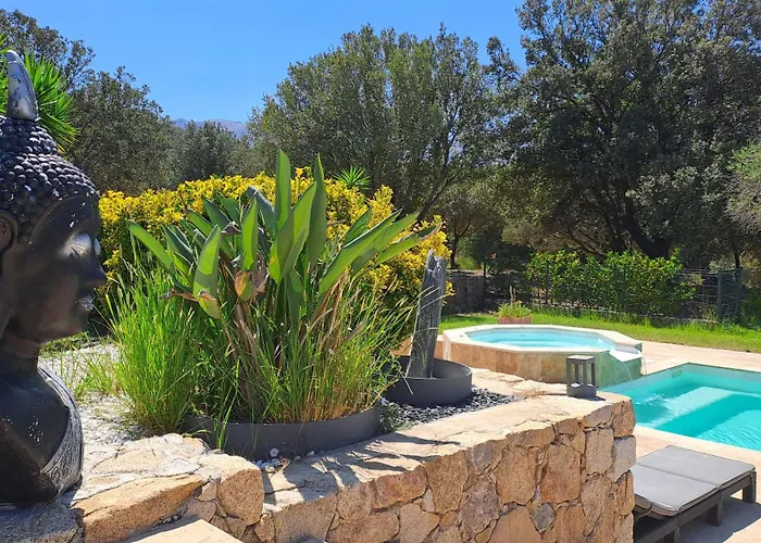 Tres Belle Piscine Jacuzzi Grande Propriete 10 Pers Villa Belgodere (Corsica)