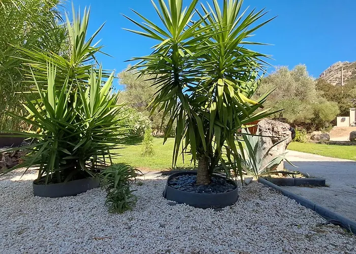 Tres Belle Piscine Jacuzzi Grande Propriete 10 Pers *